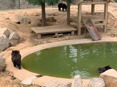 -石家庄市动物园