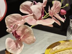 -大鸭梨烤鸭(望京店)