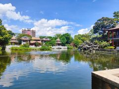 -顺峰山公园