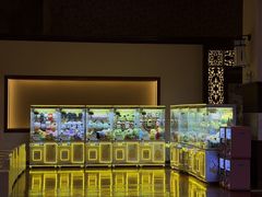 -汤连得(长清路店)