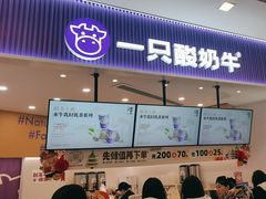 -一只酸奶牛(来福士店)