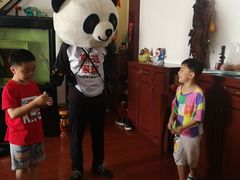 -熊猫不走蛋糕（同城送）(长沙店)
