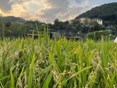 -宁波九龙湖开元度假村
