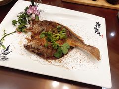 -椿不老