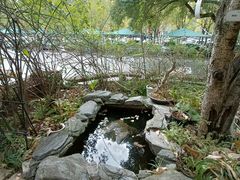 -谷咖啡·鲜花绿植花园餐厅