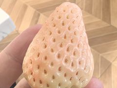 -半岛听涛蒸汽海鲜自助(K11店)