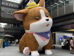-新光里