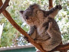 -费瑟代尔野生动物园