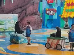 -海合安成都极地海洋公园