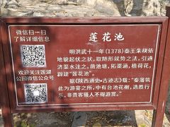 -莲湖公园