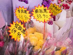 -深圳市罗湖体育馆