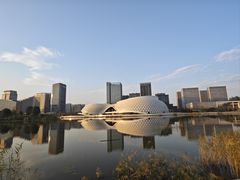 -金沙湖公园
