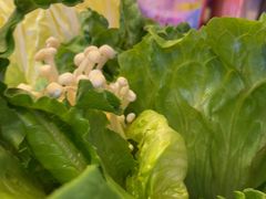 -渔香岛美蛙鱼头火锅(威清路店)