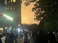 -广州白天鹅宾馆