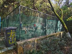 -杭州半山国家森林公园