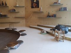 -飞行喵MR PILOT|猫舍·猫咖(静安大融城店)