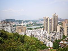-福道