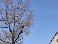 -老门东历史文化街区
