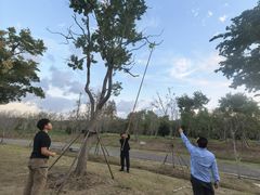 -上海海湾国家森林公园