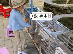 -贵州森林野生动物园