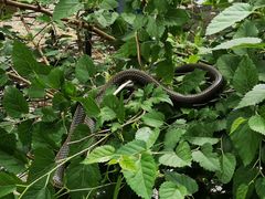 -碓臼峪自然风景区