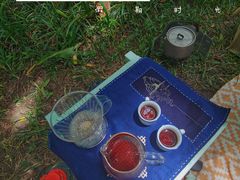 -桤木河湿地公园