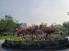 -堤角公园