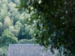 -宁波市保国寺古建筑博物馆