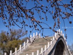 -颐和园