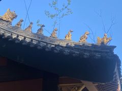 -冕宁灵山寺