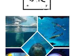 -泉城欧乐堡海洋极地世界
