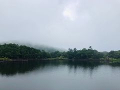-海南热带雨林国家公园吊罗山景区