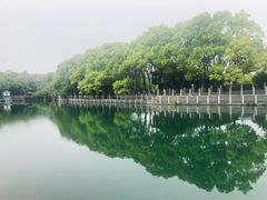 -白马涧龙池景区