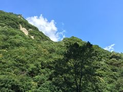 -陕西省红河谷森林公园