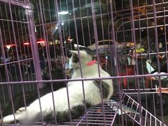 -老虎滩大连海鲜烧烤(建邺云锦路总店)