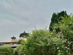 -中国农业博物馆