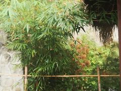 -终南山南五台景区