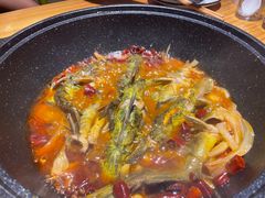 黄辣丁鲜鱼锅-小小河边鱼(天润城店)