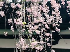-西安青龙寺遗址景区