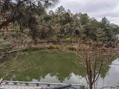 -仙店农庄(湖景农庄餐厅)