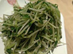 凉拌豆苗-老班长手工灌汤包老店(东山店)