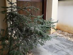 -金石唐风国际温泉会馆