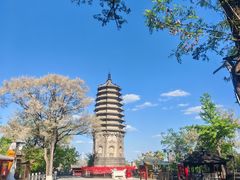 -高尔山公园