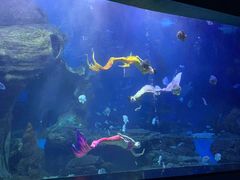 -多彩贵州城极地海洋世界