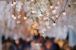 -美薇亭婚礼顾问