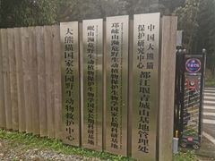 -都江堰中华大熊猫苑