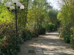 -荔枝公园(福田区)