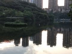 -重庆彩云湖湿地公园