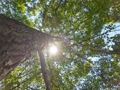 -望湖楼餐厅(白廊码头店)