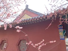 -桃花堤公园